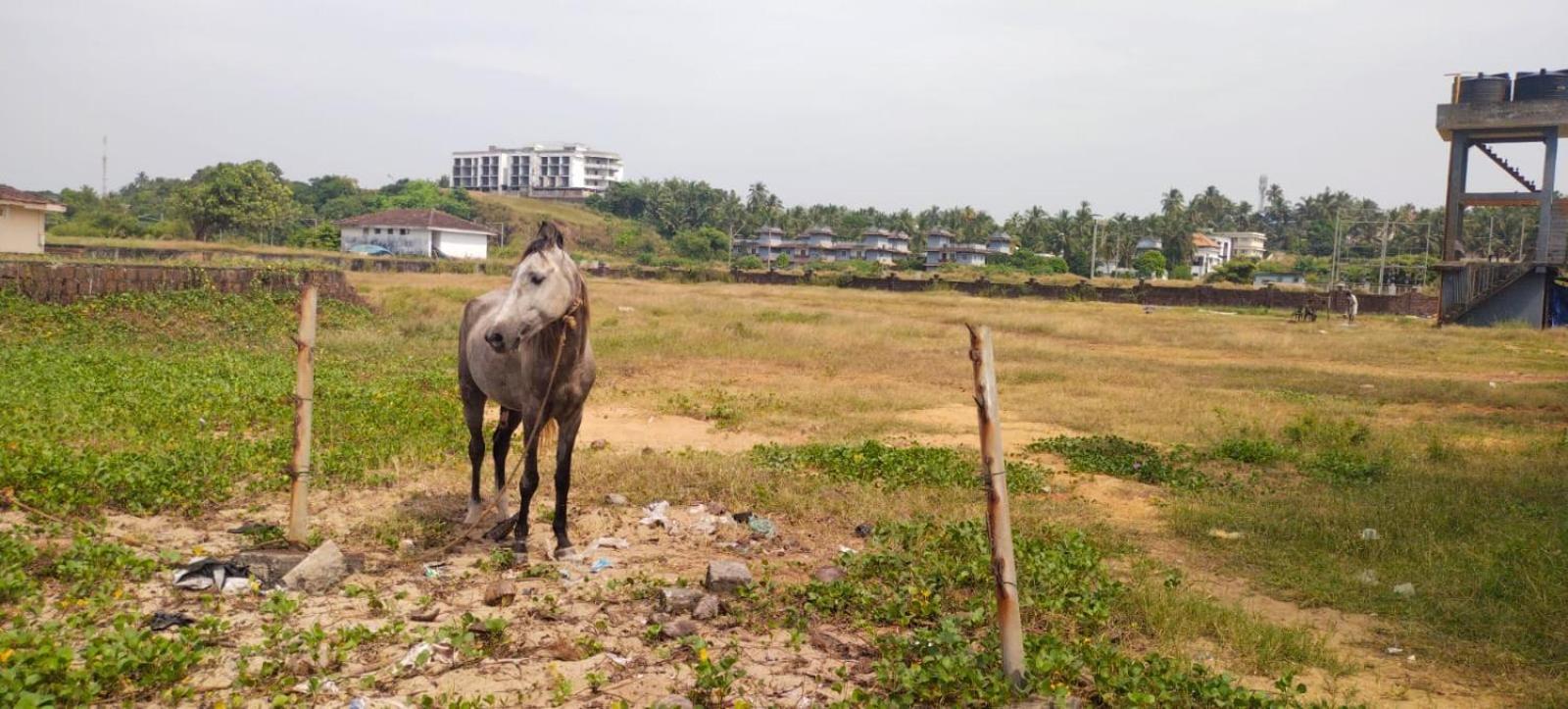 Bekal Fort Beach Resorts Bekal Town Exteriér fotografie